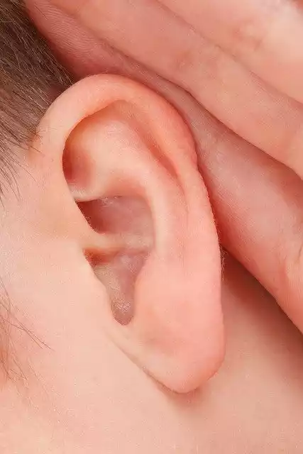 कानों की खुजली के बारे में बाइबल क्या कहती है? (What Does The Bible Say About Itching Ears?)