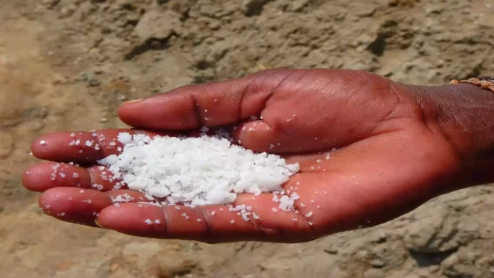 तुम पृथ्वी के नमक हो। (What Does it Mean to Be the Salt of the Earth?)